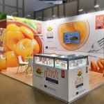 custom exhibition stands Moscow